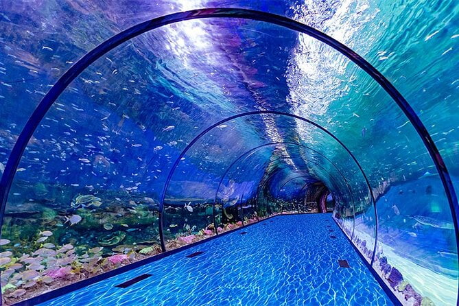 Acuario Nacional Abu Dhabi