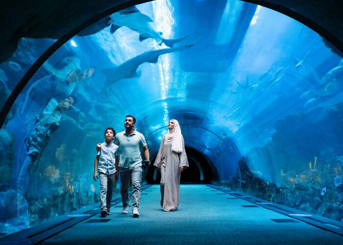 El Acuario De Dubai: Dubai Aquarium y Zoológico Submarinorino