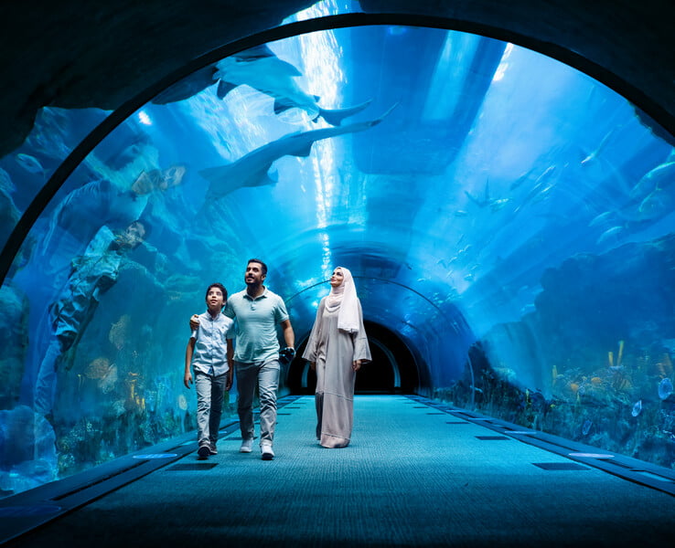 El Acuario De Dubai: Dubai Aquarium y Zoológico Submarinorino