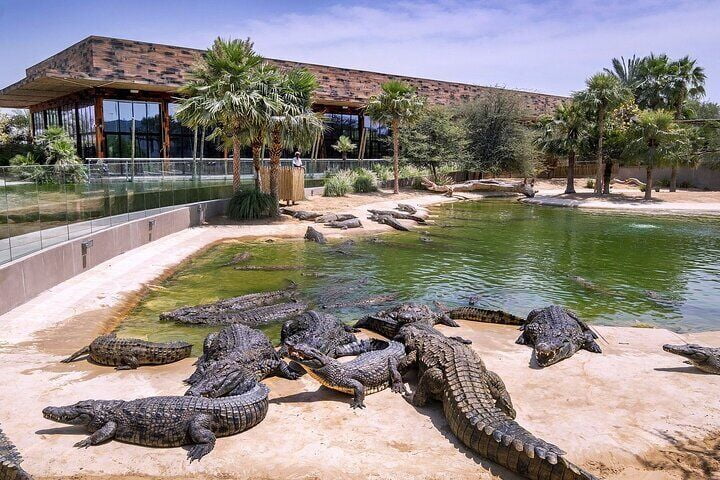 Dubai Crocodile Park