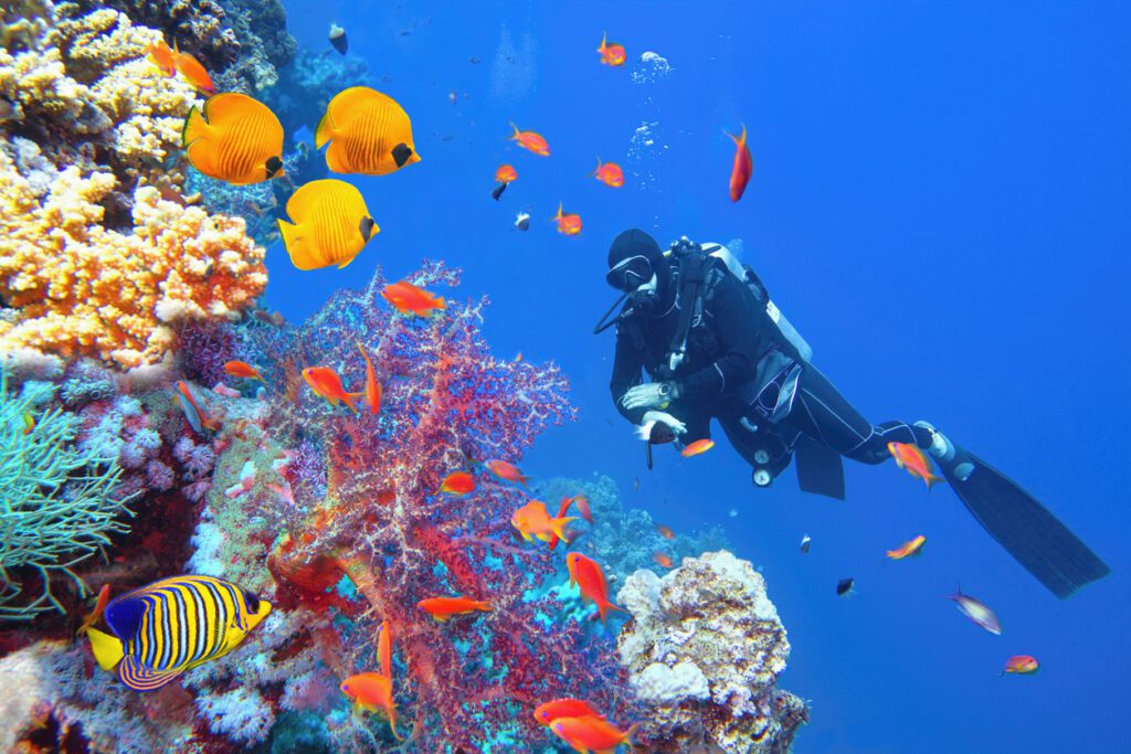 Aventura en Egipto: Maravillas del Nilo y Sharm El-Sheikh