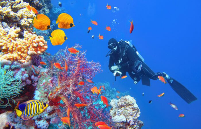 Aventura en Egipto: Maravillas del Nilo y Sharm El-Sheikh