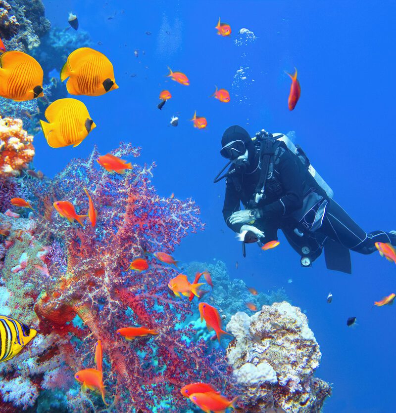 Aventura en Egipto: Maravillas del Nilo y Sharm El-Sheikh