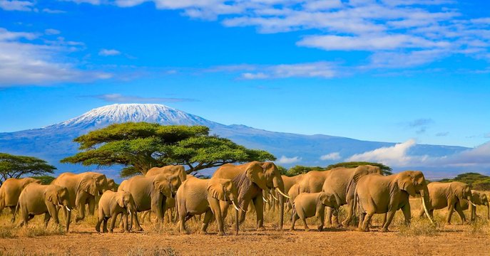 Kenia