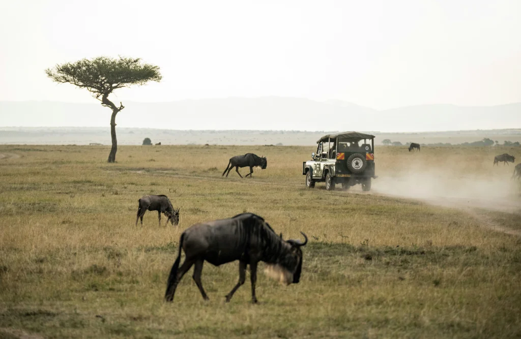 Viaje a Kenia