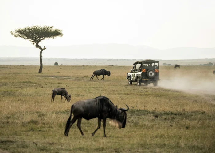 Viaje a Kenia