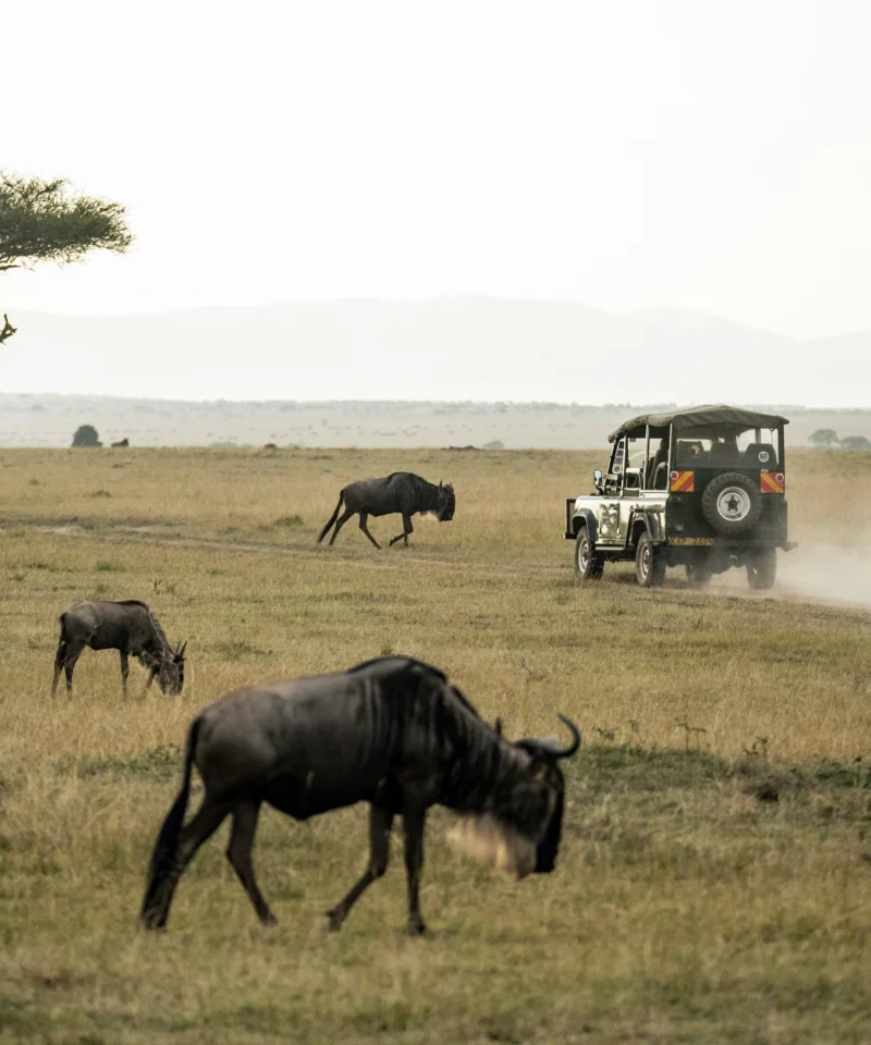 Viaje a Kenia