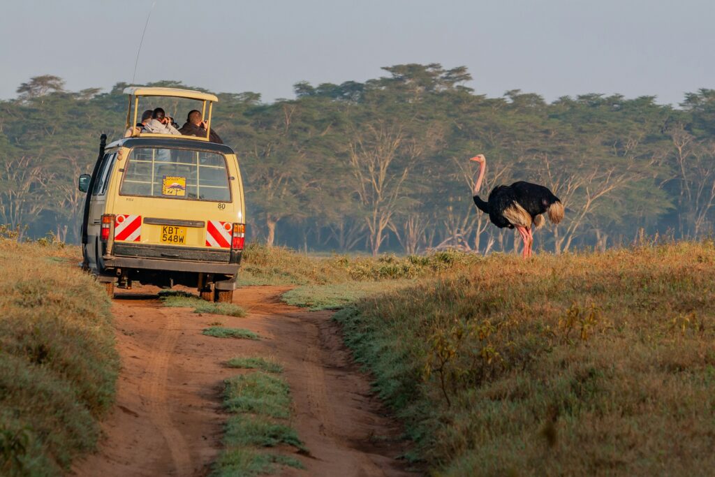 Safari en Kenia
