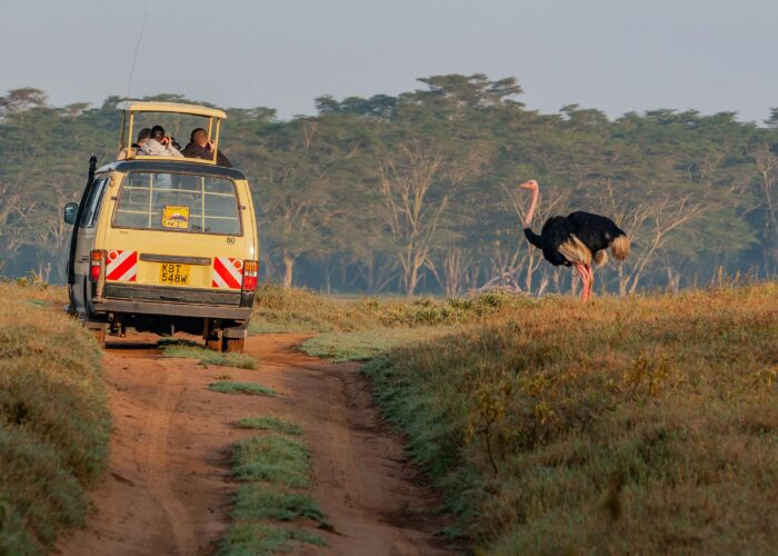 Safari en Kenia